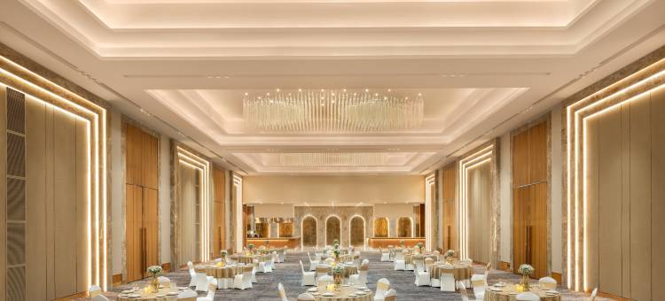 德里 MG 路 丽笙酒店(Radisson Hotel Delhi MG Road)图片