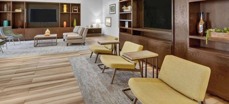 达拉斯艾迪生假日套房酒店(Holiday Inn & Suites DALLAS-ADDISON by IHG)图片