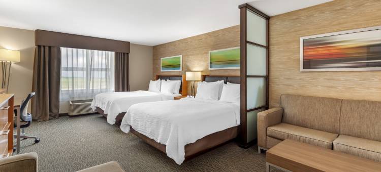 Holiday Inn & Suites 埃德蒙顿国际机场(Holiday Inn & Suites EDMONTON ARPT - CONFERENCE CTR by IHG)图片