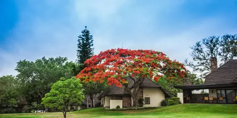 薩比河太陽度假村