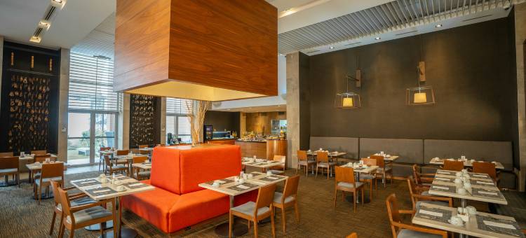 希尔顿花园酒店-圣地亚哥机场(Hilton Garden Inn Santiago - Airport)图片