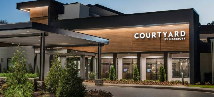亚特兰大周界中心万怡酒店(Courtyard Atlanta Perimeter Center)图片