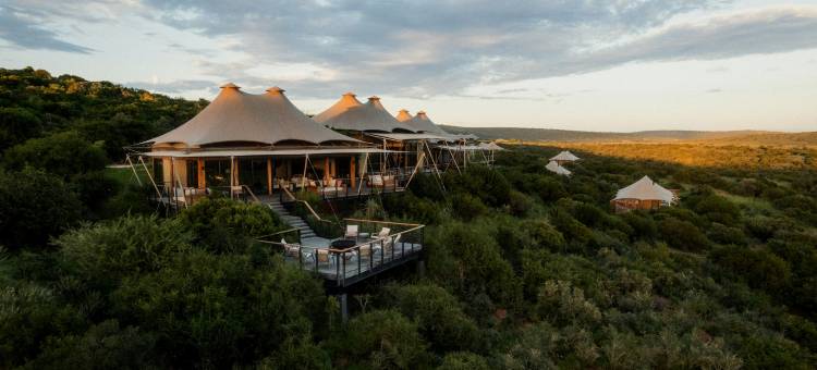 沙姆瓦里私人野生动物保护区(Shamwari Private Game Reserve)图片