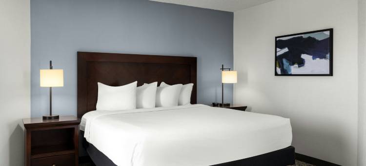 伯明翰希尔顿安泊酒店(Embassy Suites by Hilton Birmingham)图片