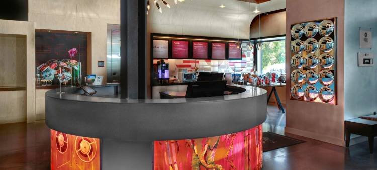罗利-达勒姆机场布里尔溪雅乐轩酒店(Aloft Raleigh-Durham Airport Brier Creek)图片
