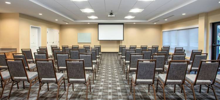 底特律贝尔维尔TownePlace Suites酒店(TownePlace Suites Detroit Belleville)图片