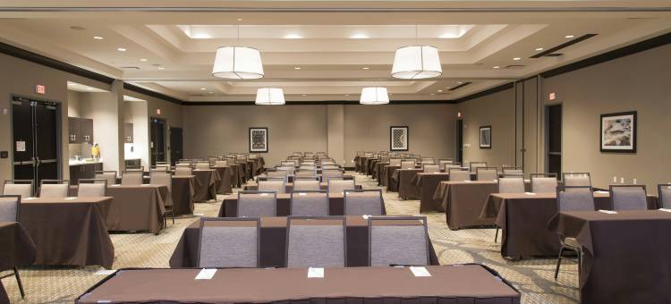 斯克内克塔迪希尔顿逸林酒店(DoubleTree by Hilton Schenectady Downtown)图片