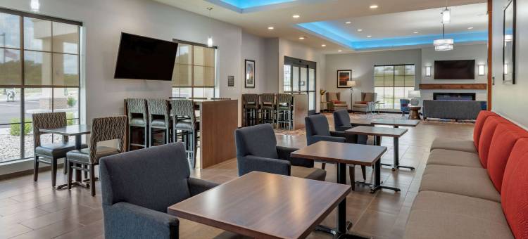 舒适套房酒店(Comfort Suites)图片