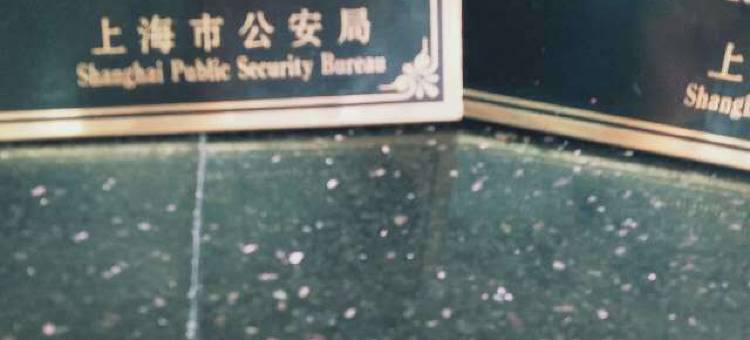 铂悦酒店(上海真如地铁站环宇城店)图片