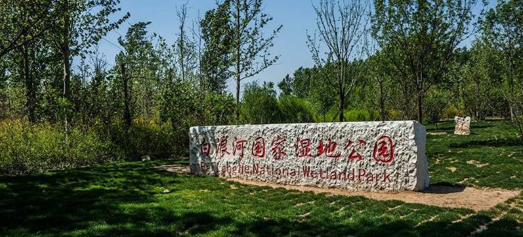 东都商务宾馆(潍坊青年路店)图片