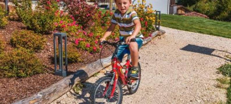 Family Hotel Serena图片