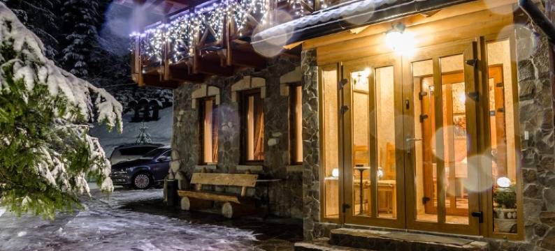 卡帕斯卡别墅(Karpatska Villa)图片