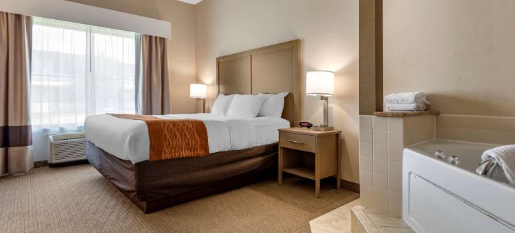 福明顿舒适酒店及套房(Comfort Inn & Suites Farmington - Victor)图片