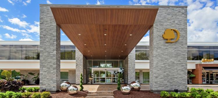 金斯利布卢姆菲尔德山 - 希尔顿逸林酒店(The Kingsley Bloomfield Hills - a DoubleTree by Hilton)图片