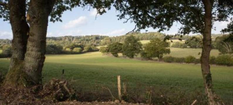 惊喜酒店(Who'd A Thought It)图片