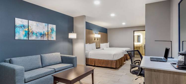 爱丁堡贝斯特韦斯特优质套房酒店(Best Western Plus Edinburg Inn  Suites)图片