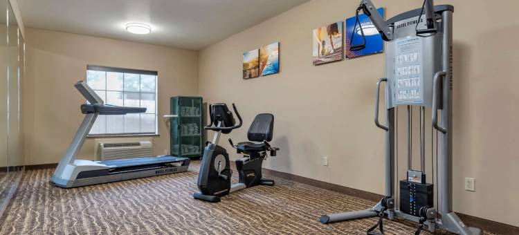 斯科特 - 西拉法叶舒适套房酒店(Comfort Inn & Suites Scott-West Lafayette)图片