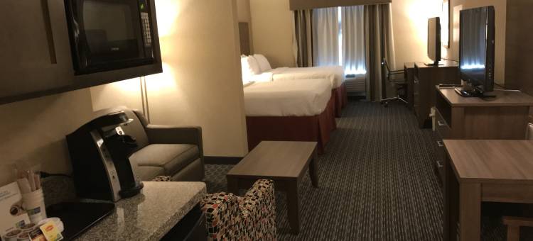 智选假日套房酒店弗雷德里克斯堡(Holiday Inn Express & Suites Fredericksburg)图片