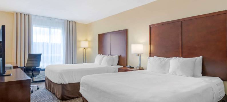 舒适酒店(Comfort Inn)图片