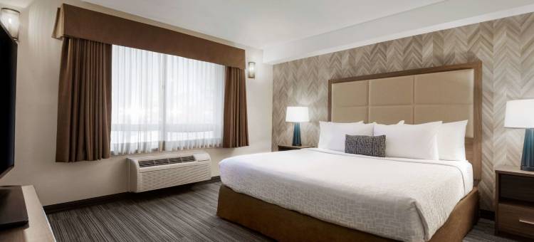 Canalta Airdrie图片