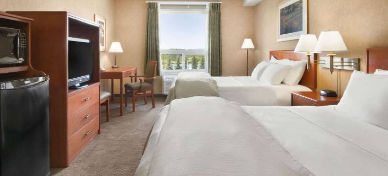 科克伦温德姆戴斯套房酒店(Days Inn & Suites by Wyndham Cochrane)图片