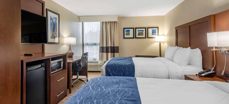 纳什维尔-欧普兰区舒适酒店(Comfort Inn Nashville - Opryland Area)图片