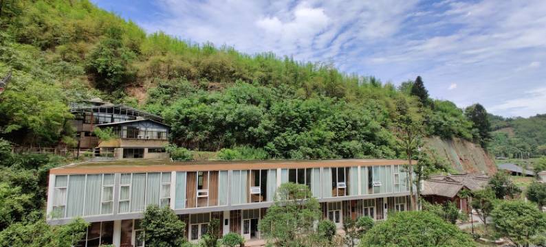 梨花休闲避暑山庄特色民宿(寿高路1号分店)图片