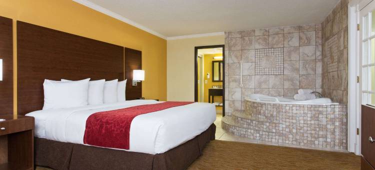 温德姆华美达-坦帕西岸机场南(Ramada by Wyndham Tampa Westshore Airport South)图片