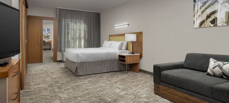 SpringHill Suites Huntsville West/Research Park图片