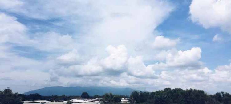 岩木酒店(Rock Wood Hotel)图片