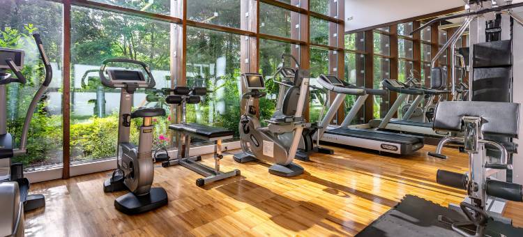 Holiday Inn Resort 华沙 - 约瑟夫乌(Holiday Inn Resort Warsaw - Jozefow)图片