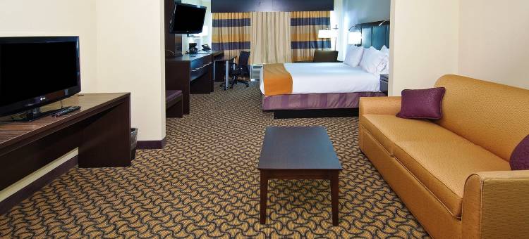 智选假日套房酒店杰克逊/珍珠国际机场(Holiday Inn Express & Suites Jackson/Pearl Intl Airport)图片