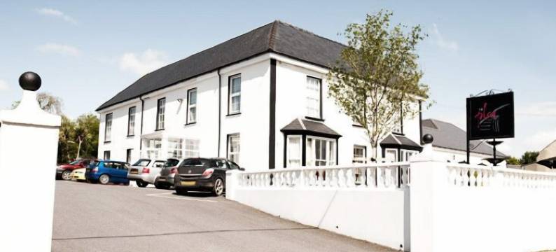 普拉斯海弗莱德酒店(Hotel Plas Hyfryd)图片