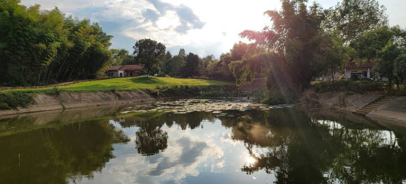 半岛计划SoulH图片