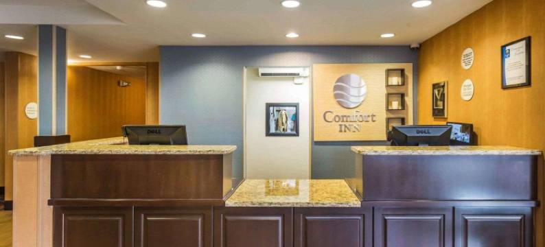 大学舒适酒店(Comfort Inn University)图片