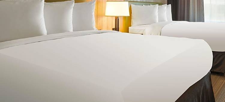 布拉塞尔顿丽怡酒店(Country Inn & Suites by Radisson, Braselton, GA)图片