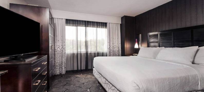 希尔顿安泊酒店-罗利克拉柏特里(Embassy Suites by Hilton Raleigh Crabtree)图片