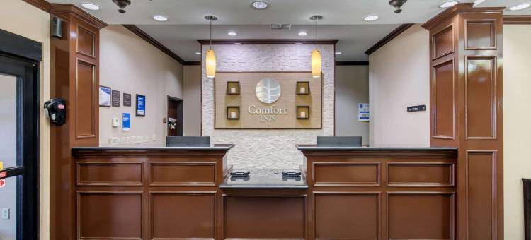 舒适酒店-近UNT(Comfort Inn Near UNT)图片