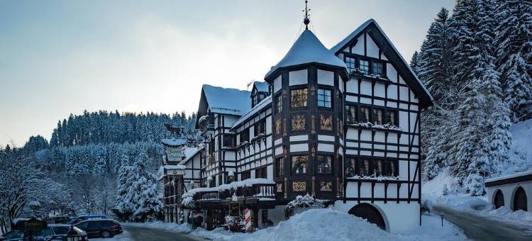 伽戈霍夫格拉苏蒂酒店(Hotel Jagdhof Glashütte)图片