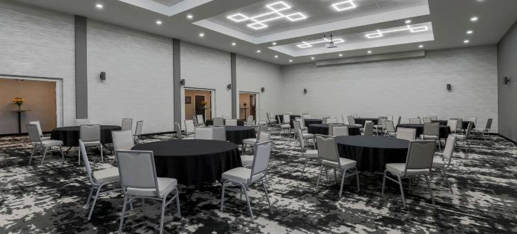 喜来登福朋阿马里洛中心酒店(Four Points by Sheraton Amarillo Central)图片