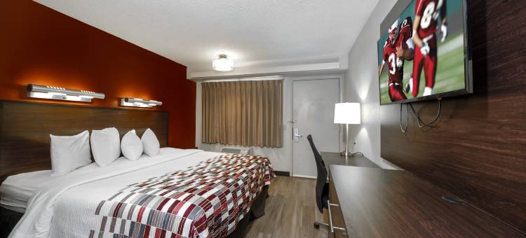 坦帕-布兰登红顶酒店(Red Roof Inn Tampa - Brandon)图片