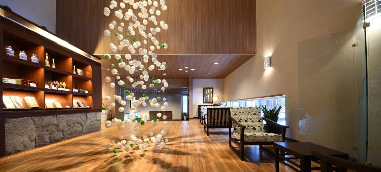 翠蝶馆酒店-仅限女性(Spa and Esthetique Suichokan-Female&Adult Only)图片