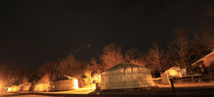 蒙古村腾格尔酒店(Mongolia Village Tenger)图片