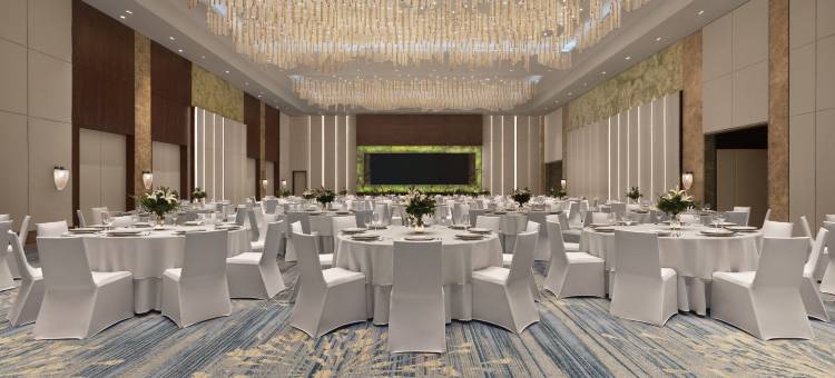 马尼拉威斯汀(The Westin Manila)图片