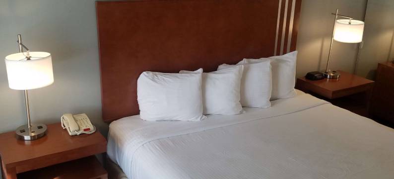 贝斯特韦斯特霍利斯特SureStay酒店(SureStay Hotel by Best Western Hollister)图片