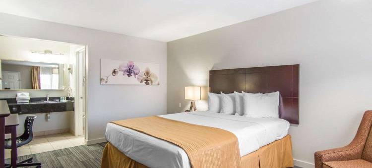 公园凯艺套房酒店(Quality Inn & Suites by the Parks)图片