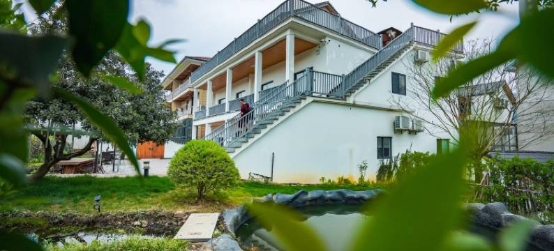 杭州杨家大院民宿图片