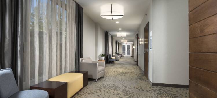 万豪AC酒店阿什维尔比尔特莫尔村(AC Hotel Asheville Biltmore Village)图片