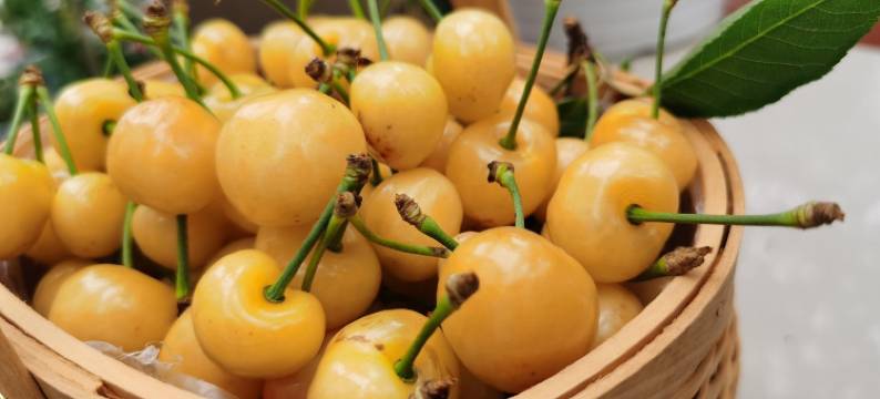 陈陈陈可爱度假别墅(交通南路分店)图片