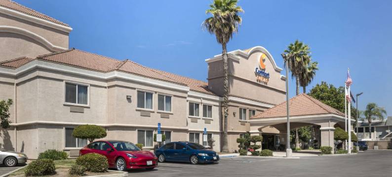 舒适套房酒店(Comfort Suites)图片